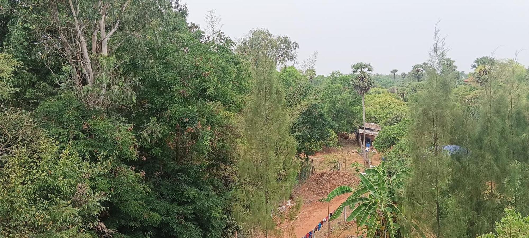 Travellers Crib Auroville Exterior foto