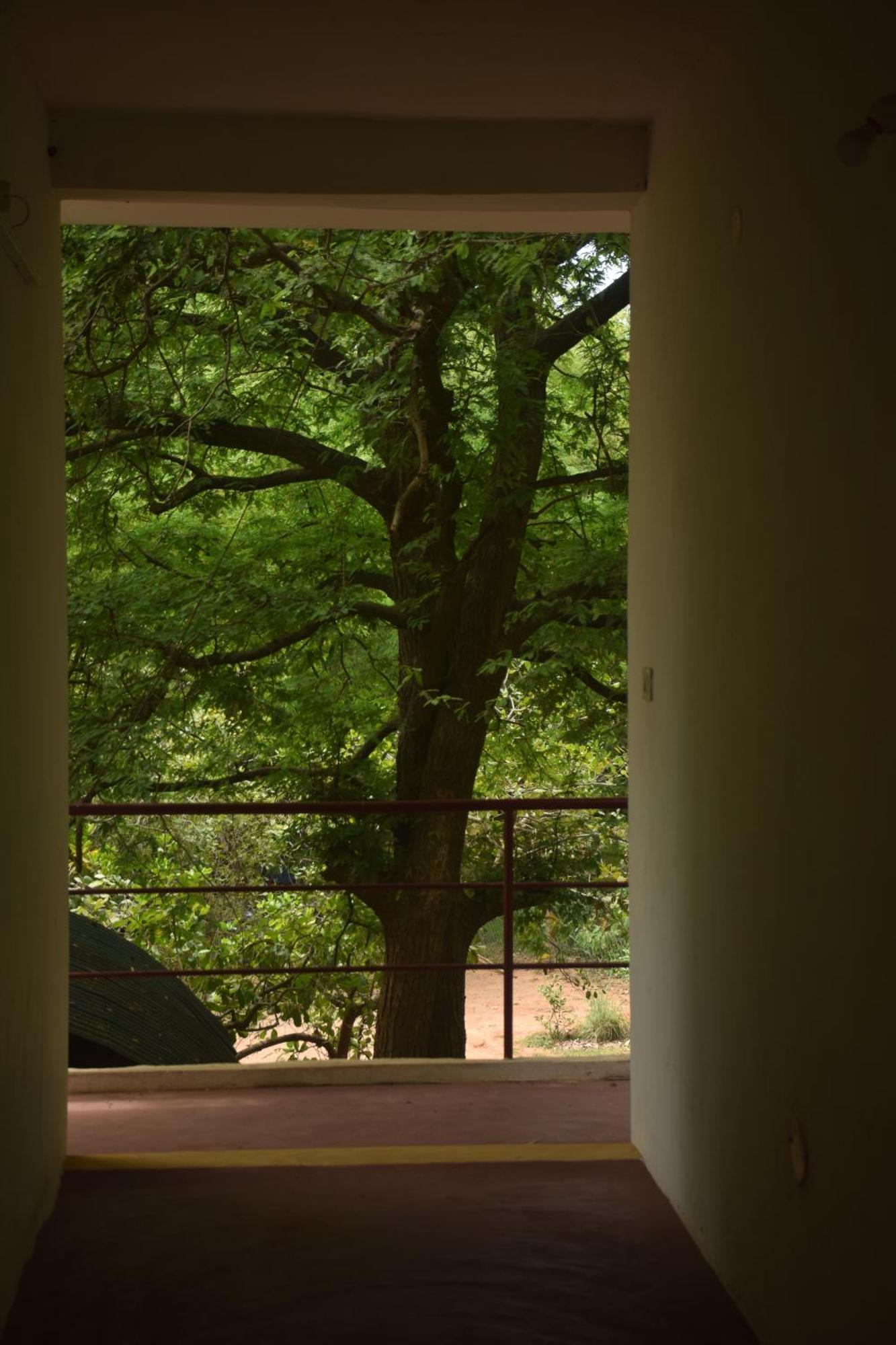 Travellers Crib Auroville Exterior foto